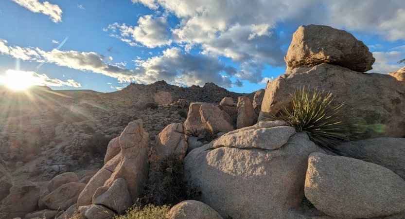 large boulders dot the landscape in joshua tree national park